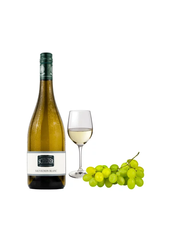Sauvignon blanc 2024