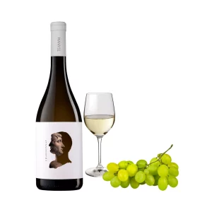 Chardonnay Otre