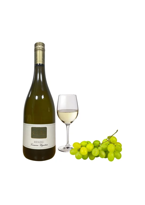 Riesling Terrassen Urgestein 2024