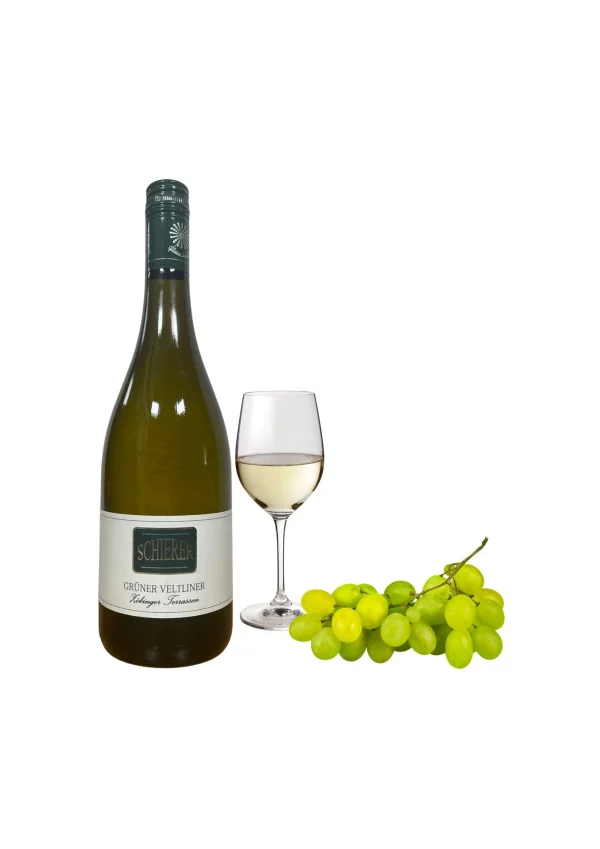 Grüner Veltliner DAC 2024